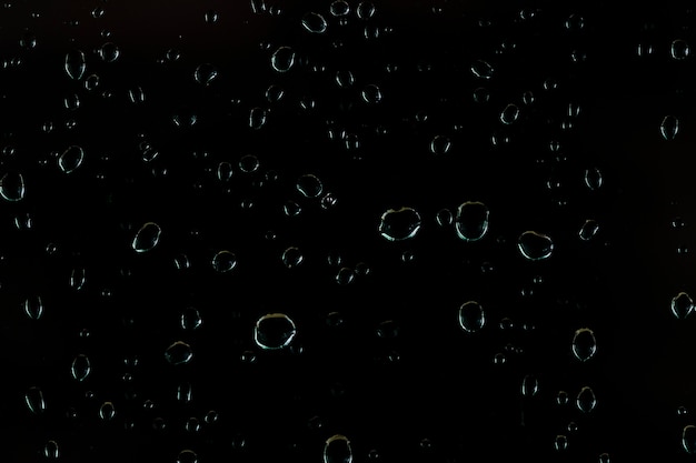 Free Photo close-up water droplets on black