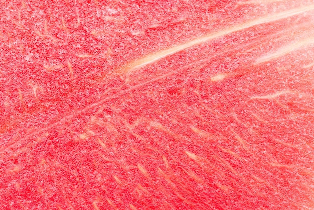 Free Photo close up watermelon background