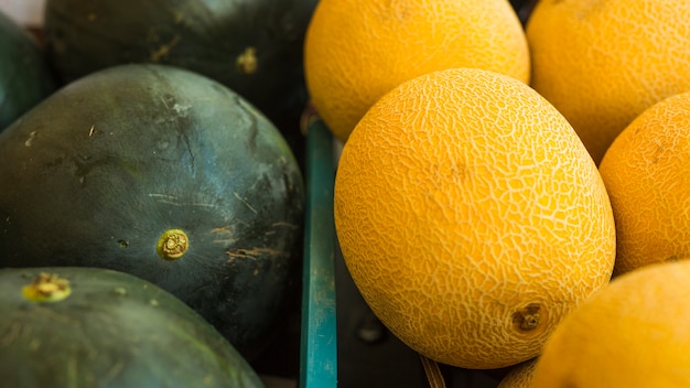 Close-up of watermelon and cantaloupe