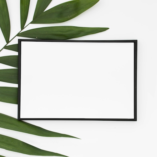 Free photo close-up of white blank frame with green palm leaves isolated on white background