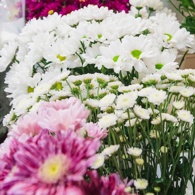 Close-up of white daisy and chamomile bouquet flowers