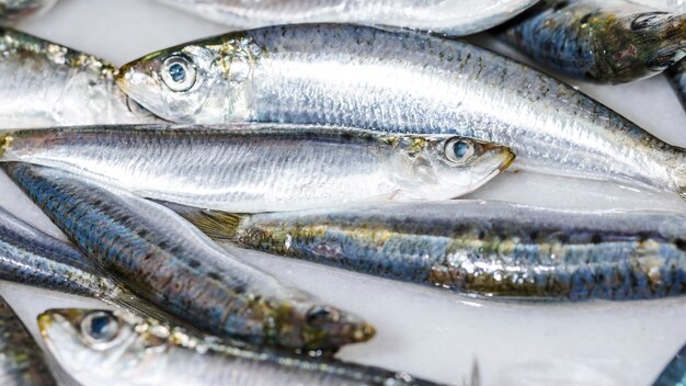 Close-up of white fresh fish