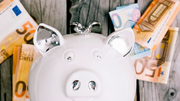 Free photo close-up of white piggybank's face with euro banknotes