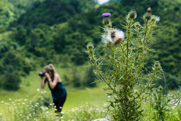 Free photo close-up wild flowers with photographer in the background