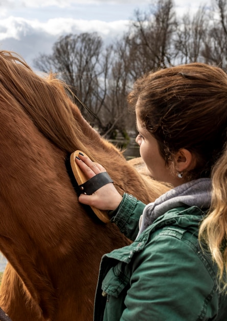 Close-up woman brushing horse