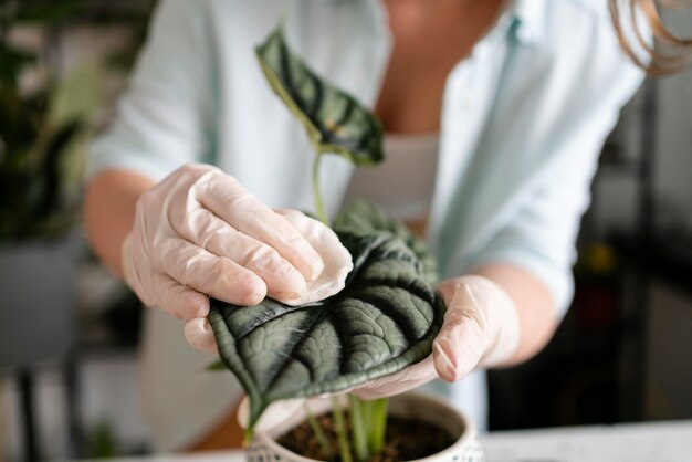 Close up woman growing plants