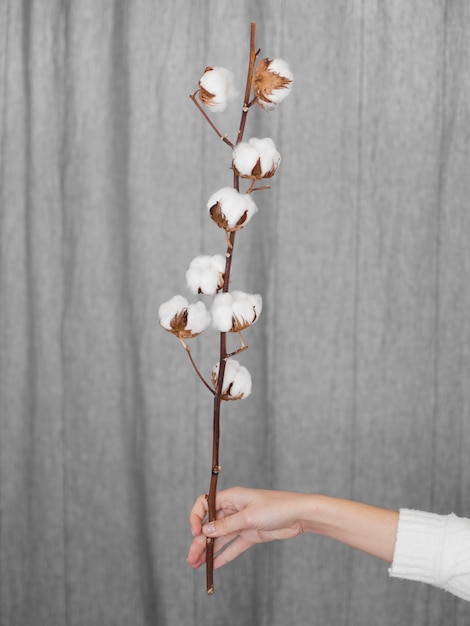 Close-up woman holding branch with cotton flowers