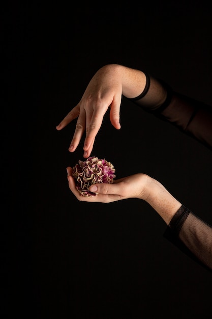 Free photo close-up woman holding a flower