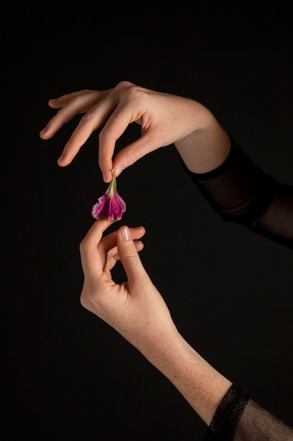 Free Photo close-up woman holding a flower