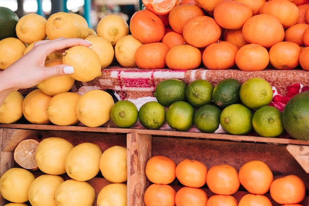 Free photo close-up woman holding a lemon