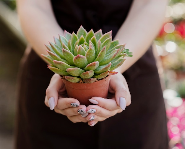 Close-up woman holding small plant pot