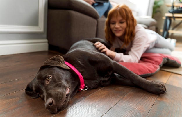 Close up woman petting dog