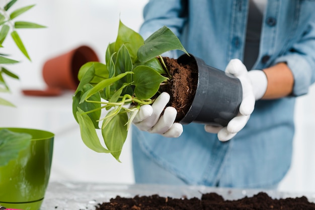 Close-up woman planting flowers