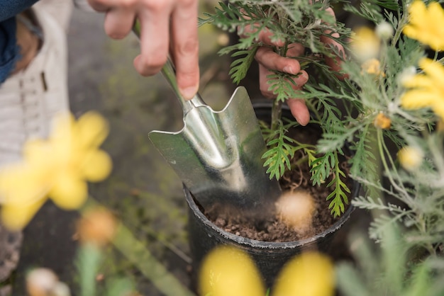 Free Photo close-up of a woman's hand using hand shovel while planting plant in pot