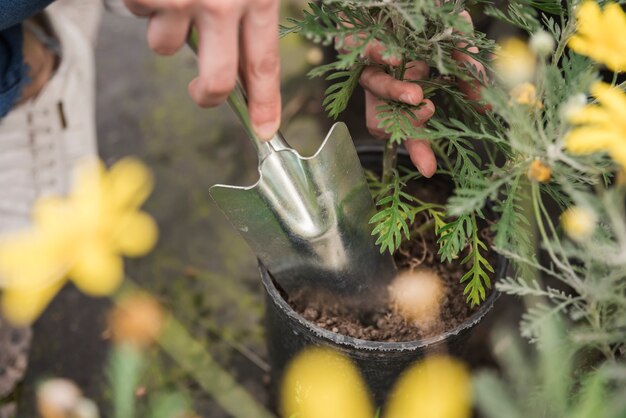 Close-up of a woman's hand using hand shovel while planting plant in pot