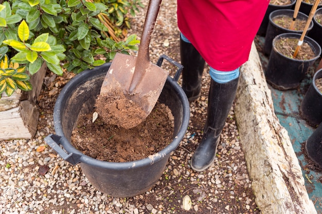 Close up woman shoveling in large flower pot