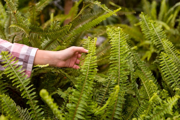 Free photo close-up woman touching plants in greenhouse