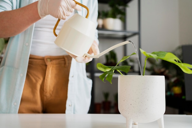 Free photo close up woman watering plant pot