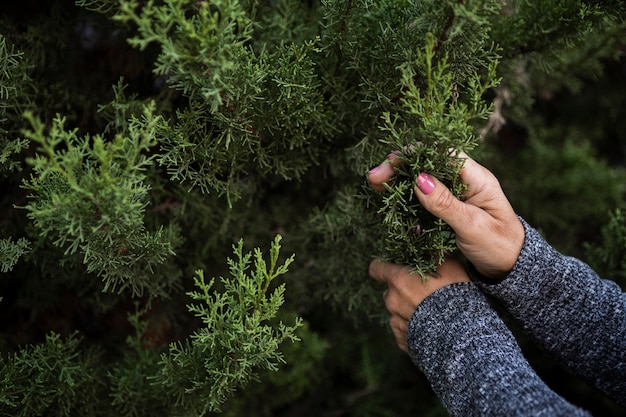 Close-up woman with christmas tree