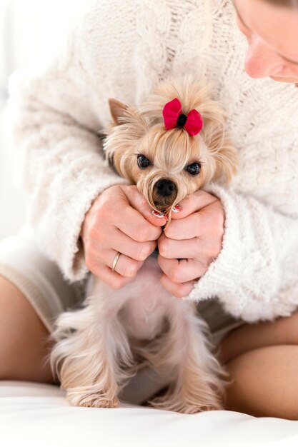 Close up woman with cute pet at home