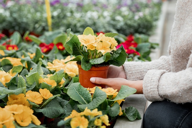 Close-up woman with flower pot