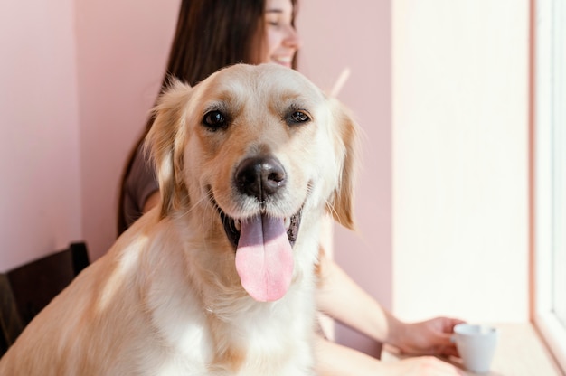 Close up woman with smiley dog