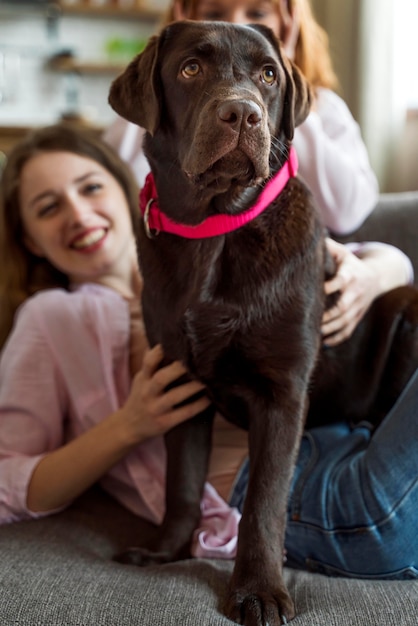 Close up women petting dog