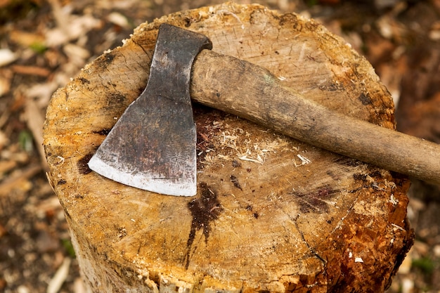 Close-up wood chopping axe