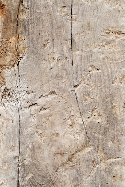 Close up wood texture background