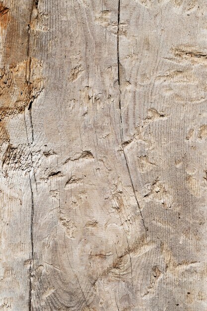 Close up wood texture background