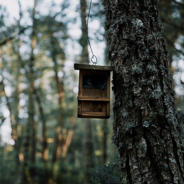 Free photo close-up of a wooden bird feeder and tree trunk