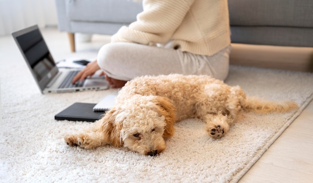 Close up worker and dog at home