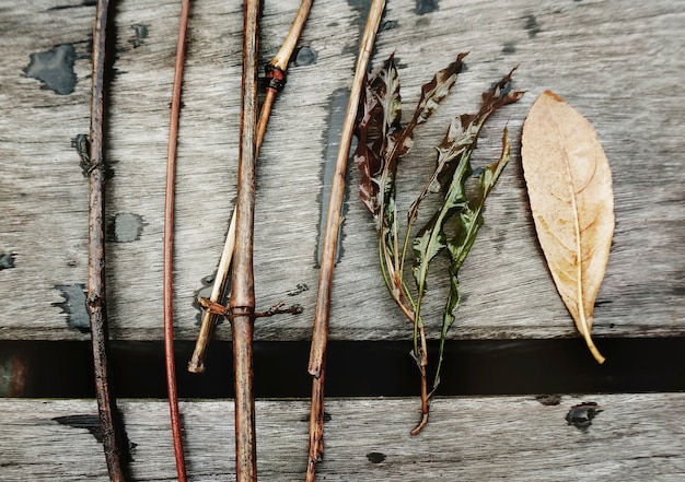 Closeup aerial view of plant branches on wooden table