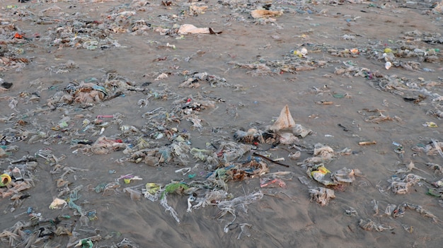 Free photo closeup of  a bea\ch shore washed up with garbage