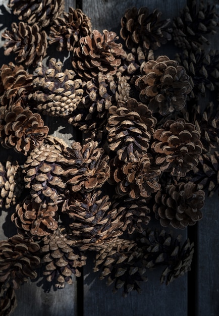 Free photo closeup of beautiful pinecones piled up together in a dark place