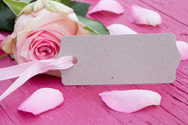 Closeup of beautiful pink rose and petals on a pink wooden surface with a card with space for text