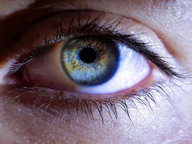 Free photo closeup of a female human's deep eyes