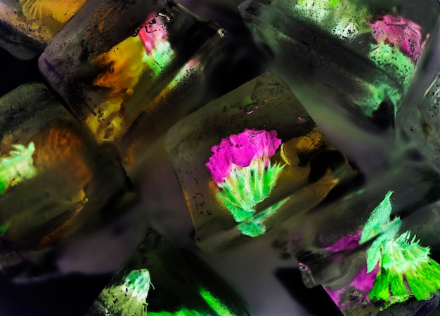 Free photo closeup of flowers inside ice cubes in negative effect