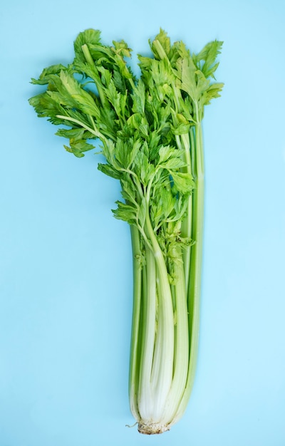 Closeup of fresh celery on blue background