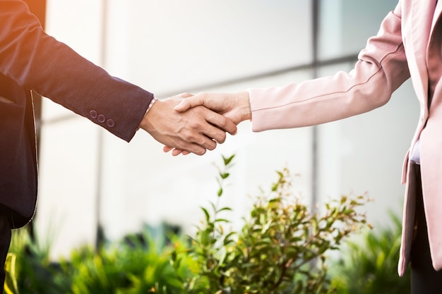 Free Photo closeup friendly meeting handshake between business woman and  businessman with sunlight.