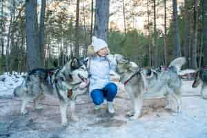 Free photo closeup of a girl with huskies sled dogs in a snow