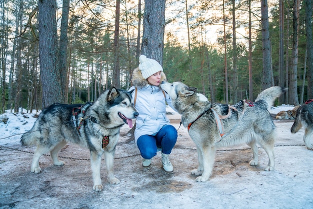 Closeup of a girl with huskies sled dogs in a snow