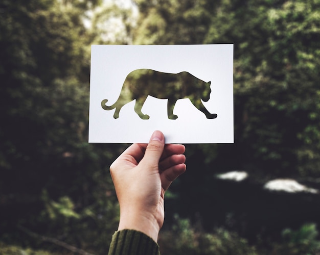 Free Photo closeup of hand holding leopard perforated paper with green nature background