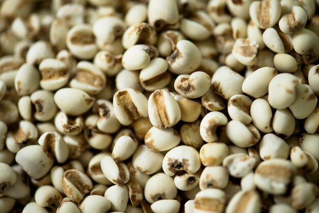 Closeup of jobstears legumes textured