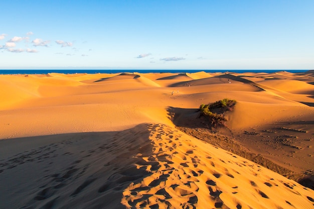 Closeup of Maspalomas Dunes on Gran Canaria island