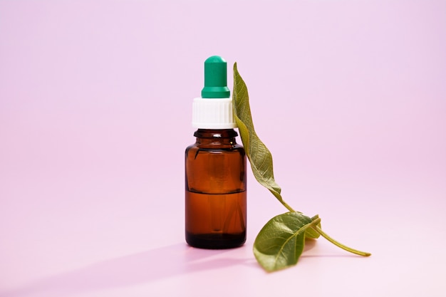 Free photo closeup of medicinal leaf extracts in a medicine bottle over a pink wall