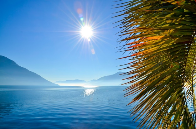 Closeup of palm tree leaves surrounded by the sea and mountains under the sunlight and a blue sky