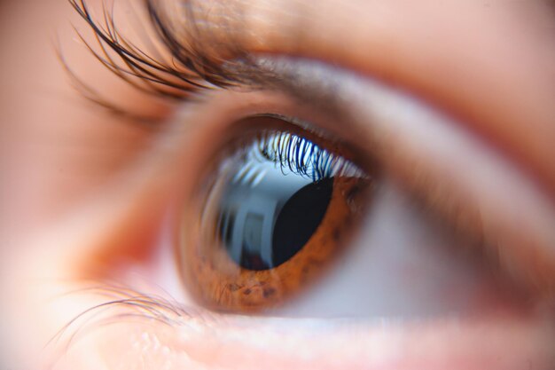 Closeup of a person's beautiful brown eye