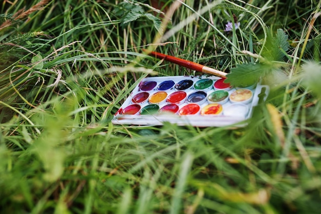 Closeup photo of watercolor palette with brush laying on the grass