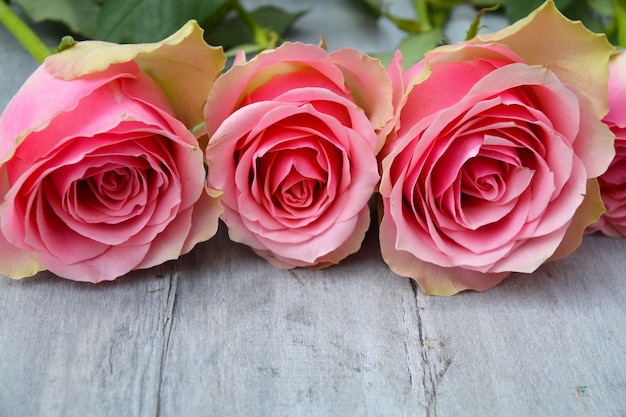 Closeup picture of pink roses on a wooden surface